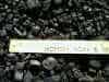pea stoker coal